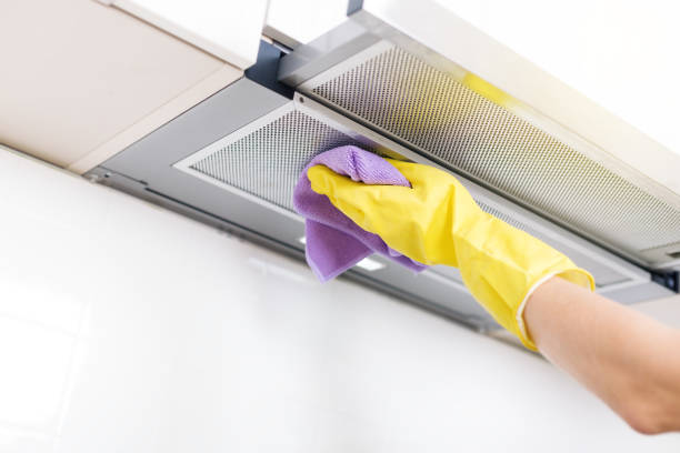 Air Duct Mold Removal in Denver, CO